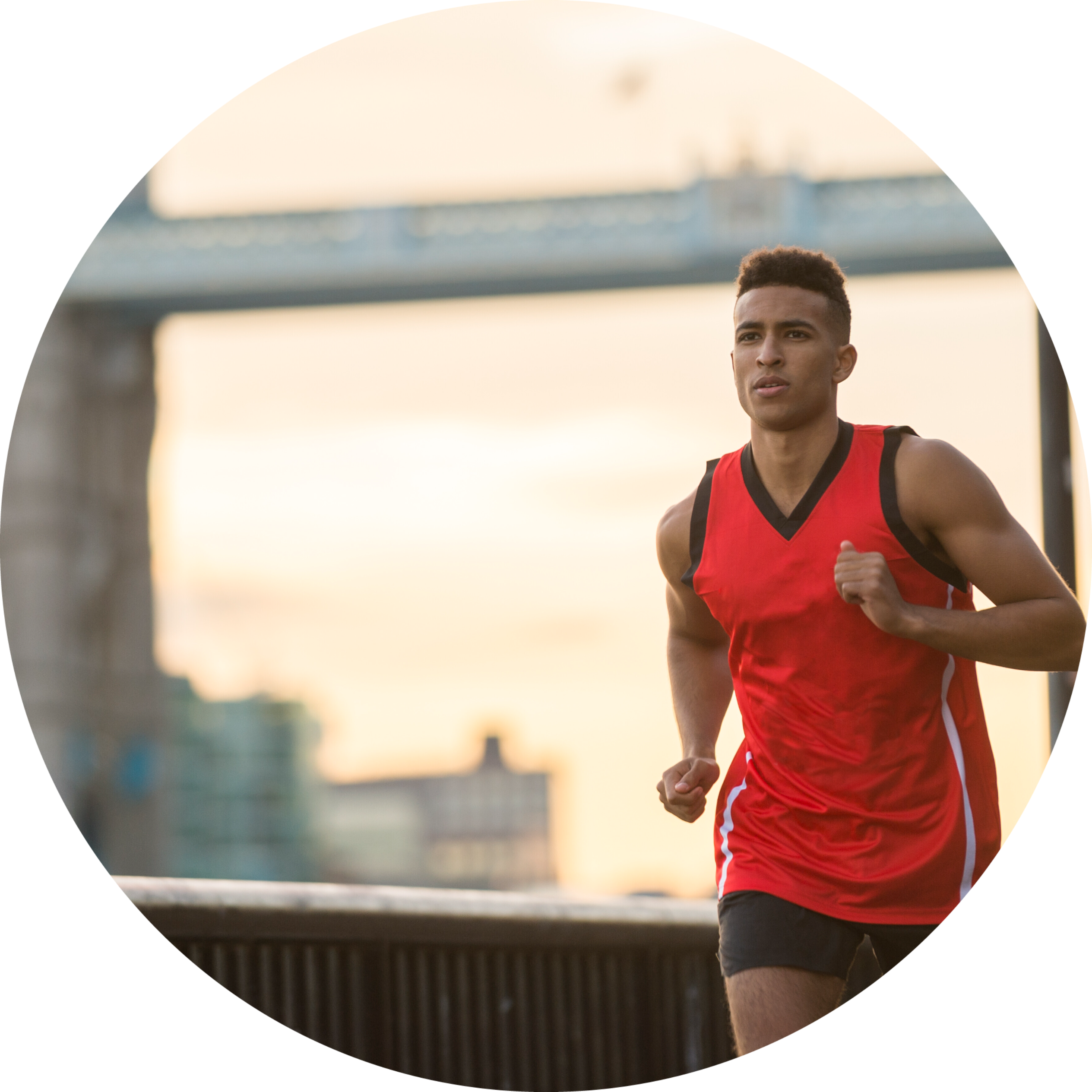 Performance Insight Home Performance Insight | Leadership Coaching & Organizational Development Experts